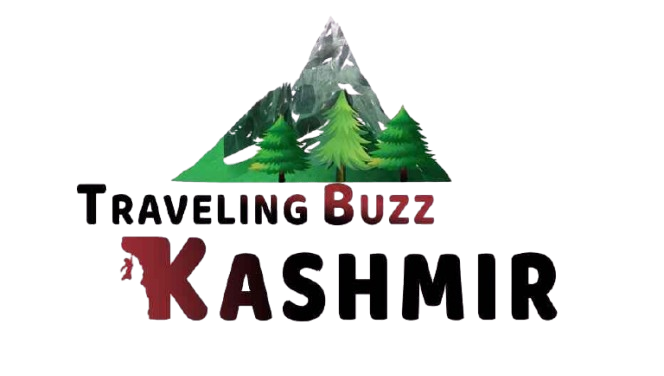 Traveling Buzz Kashmir
